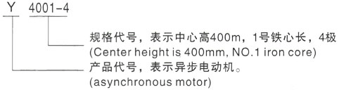 西安泰富西玛Y系列(H355-1000)高压YKS5008-8/630KW三相异步电机型号说明